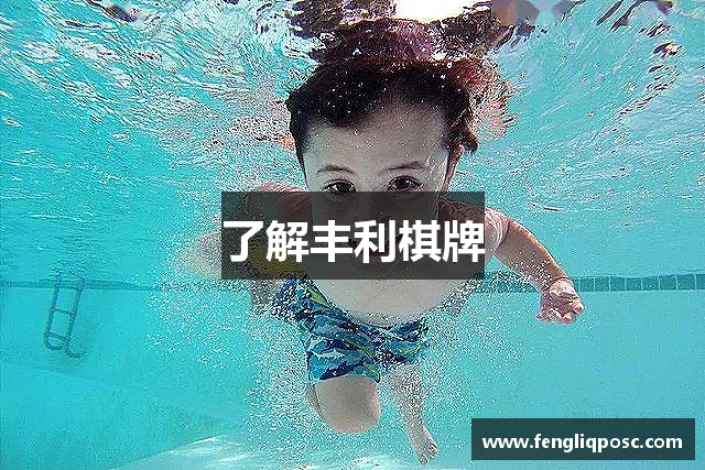 了解丰利棋牌