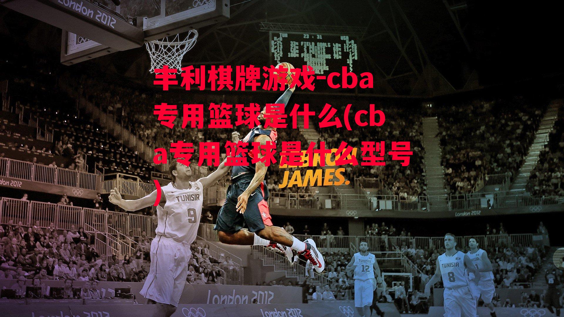 cba专用篮球是什么(cba专用篮球是什么型号)